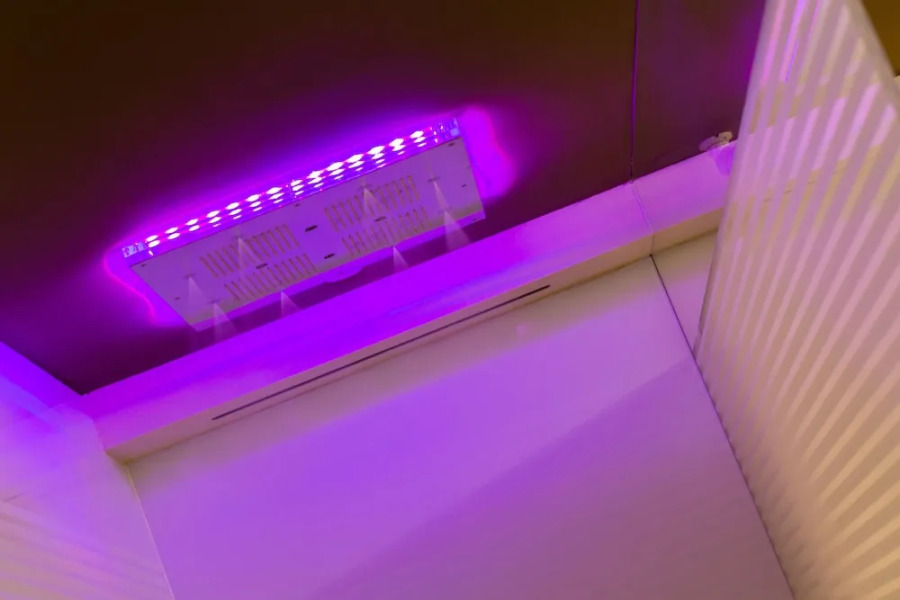 Pinonero Home Holidays & SPA