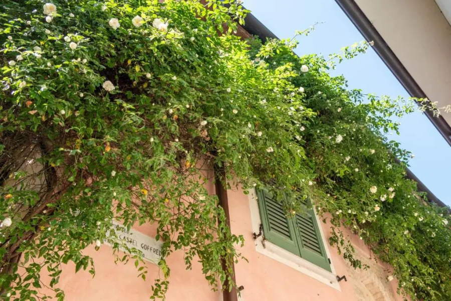 B&B Teodoro