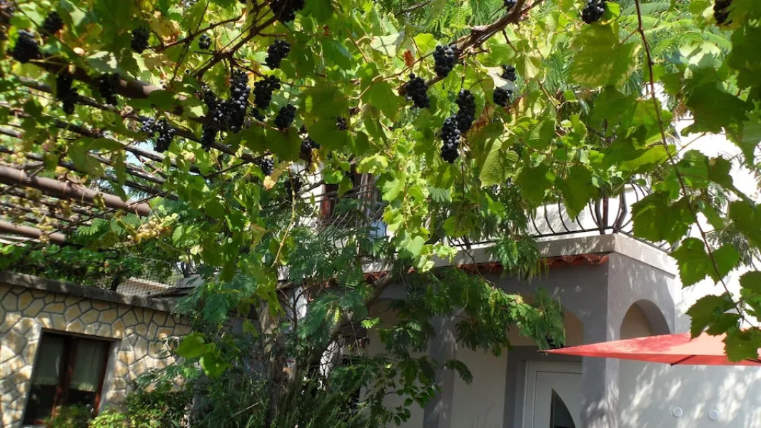 House House Klaric-perl