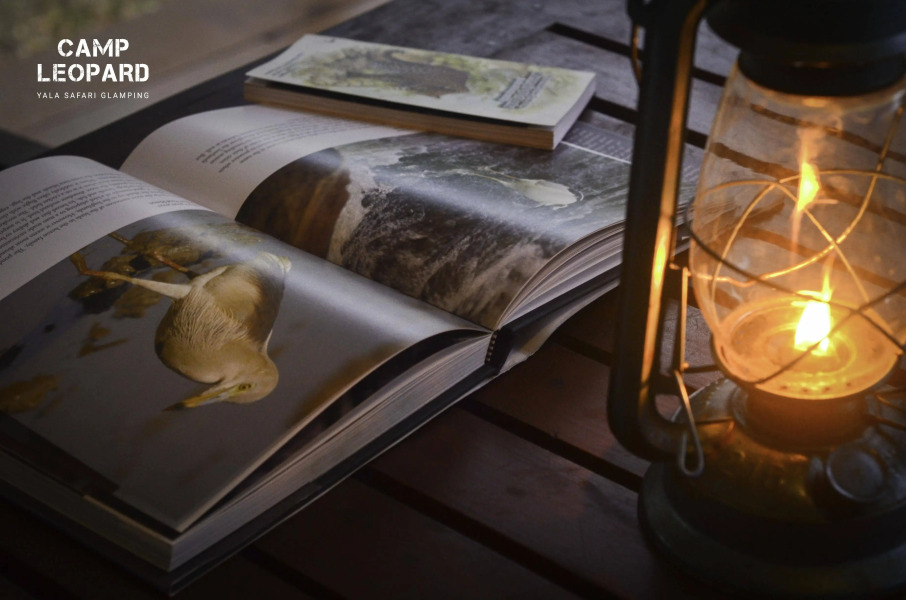 Camp Leopard - Yala Safari Glamping