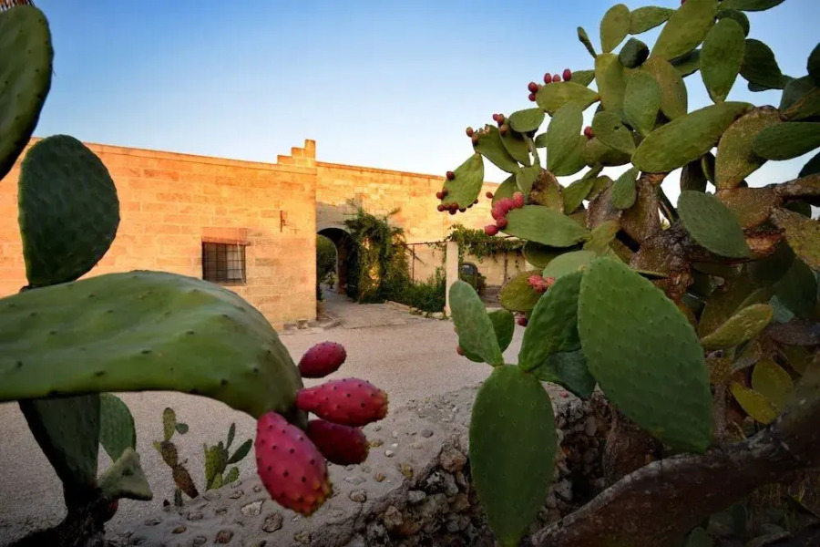 Masseria Le Pezzate