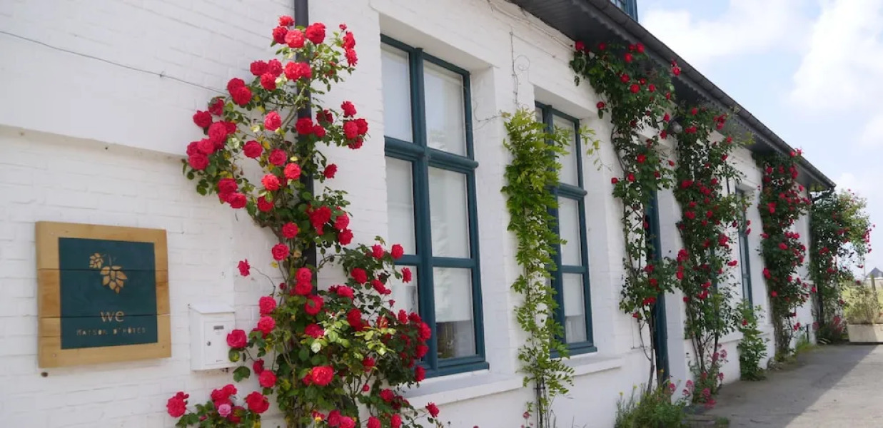 WE Maison d'hotes