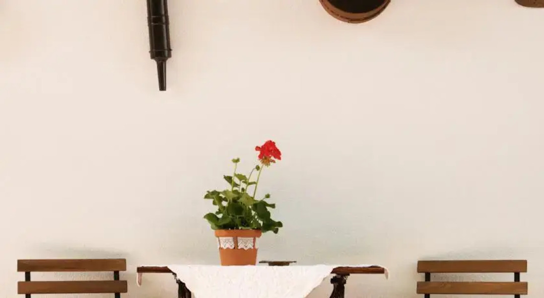 Tulipános Porta és Vendégház