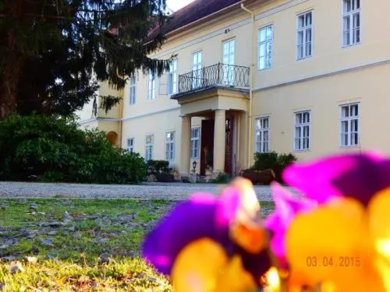 Kastélyszálló Szarkavár