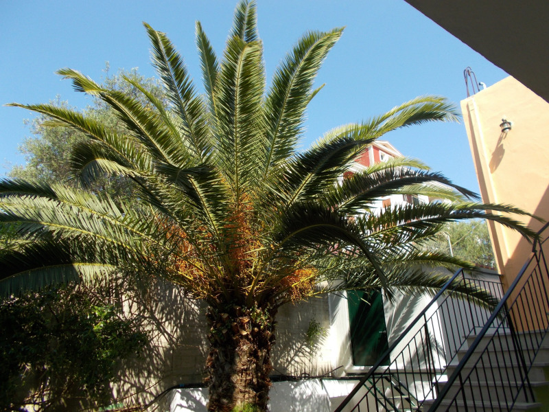 Kavos Fantasia Complex