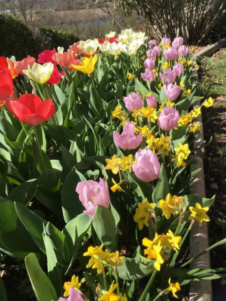 Le Relais des Malettes