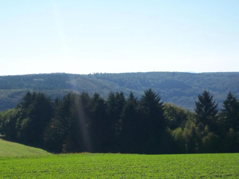 Ferienunterkunft Börner