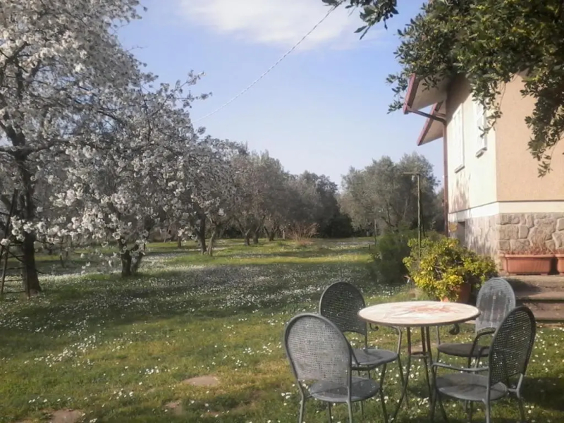 Casa Vacanze La Tartaruga