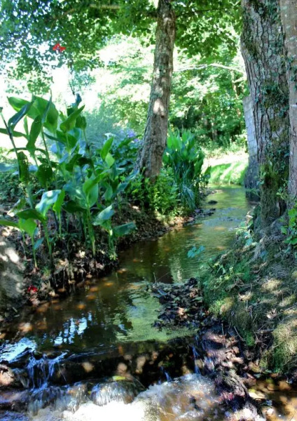 Chambre dHôtes au Sargaillon