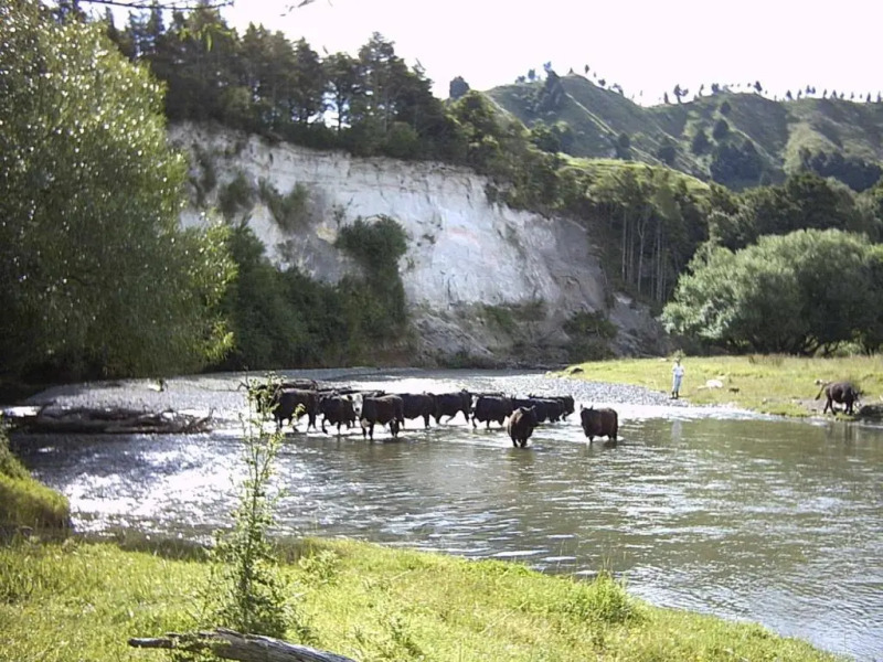 Earthsounds Country Cottage