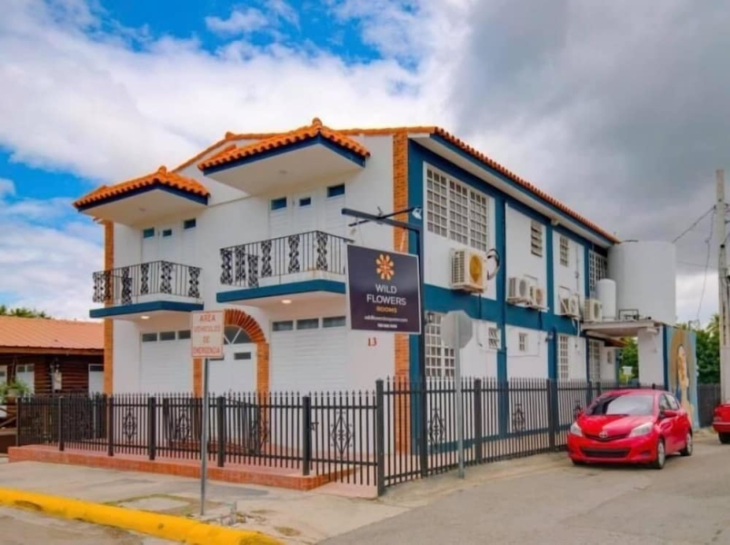 Wild Flowers Boquerón Rooms