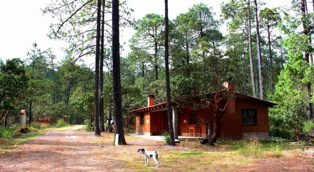 Centro Ecoturístico Cabañas Llano Grande