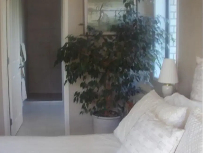 Andros B&B