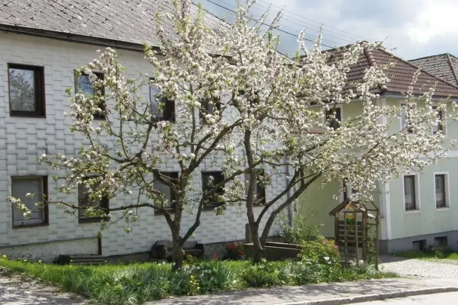 Biobauernhof Gollner