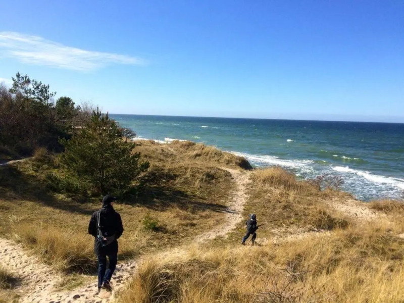 Ferienhaus-Sonnenblume