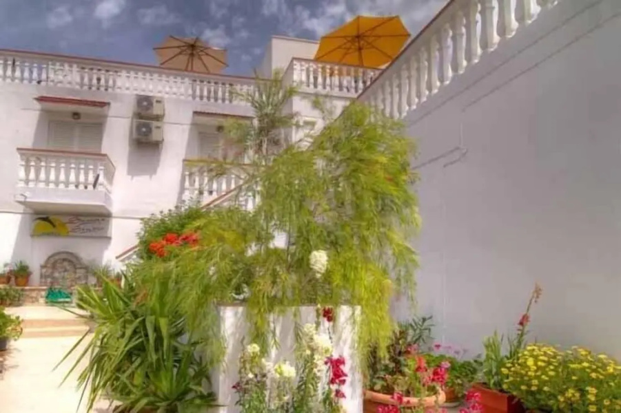 Sevas Studios