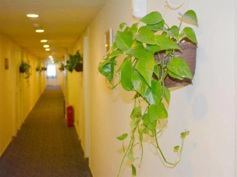 7Days Inn Hefei Pedestrian