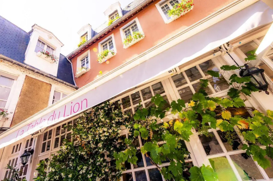 Hotel Le Lion d'Or et restaurant la Table du Lion