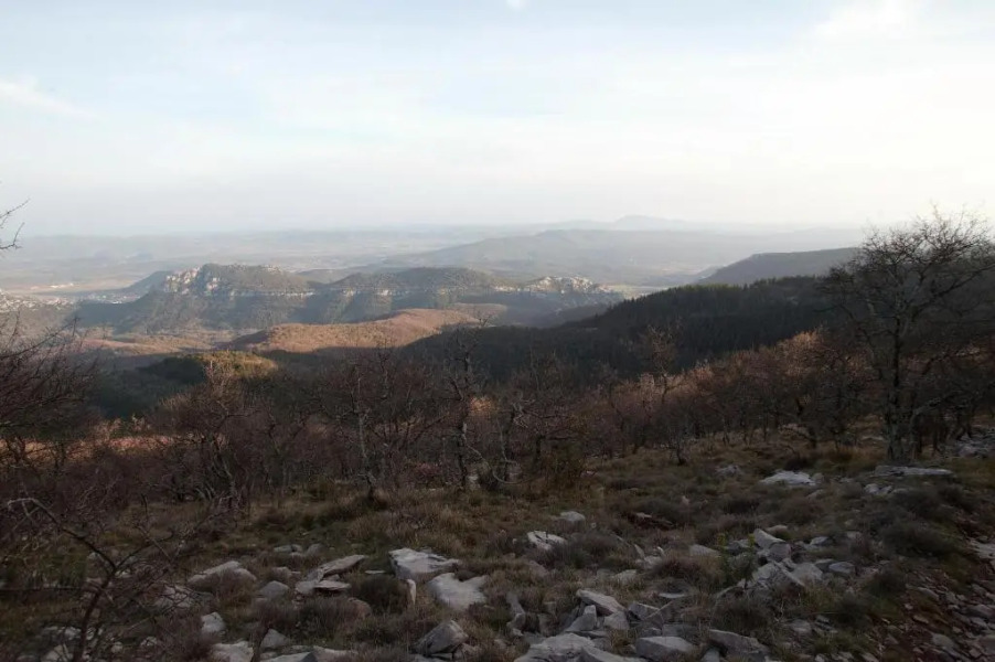 le refuge des pots rouges