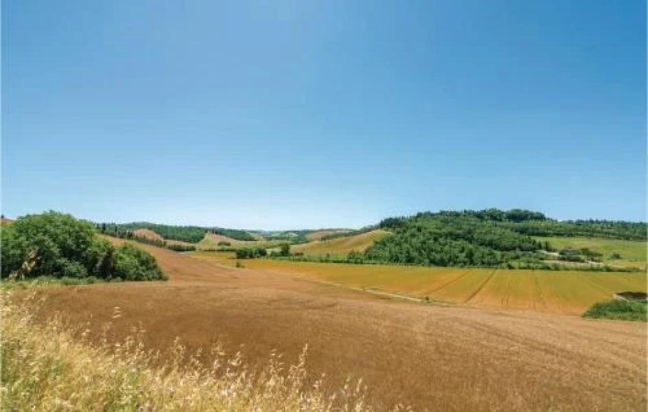 Trebbiano 4