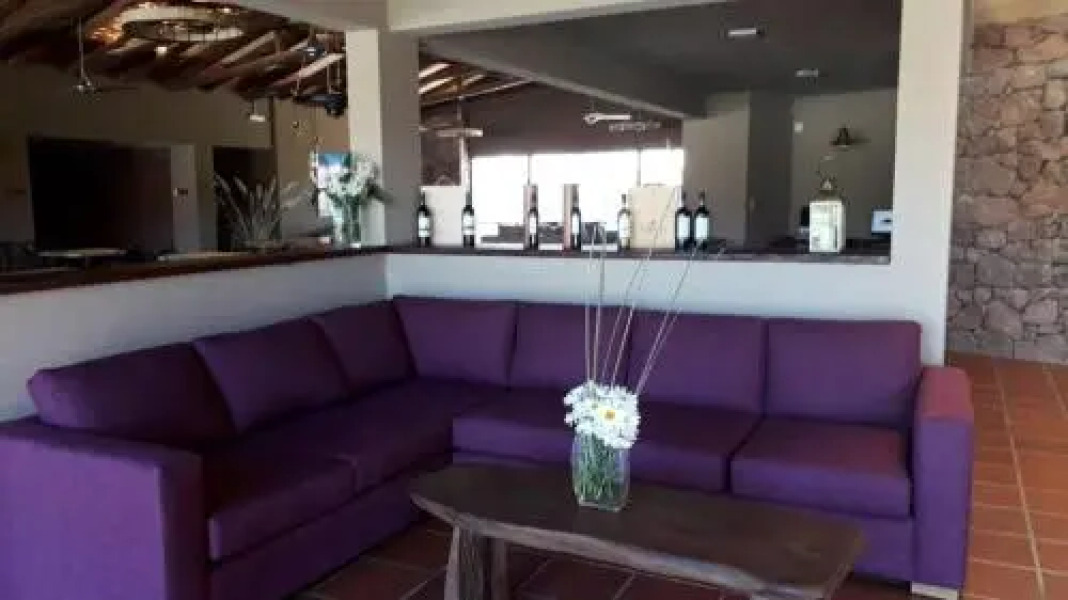 Hotel Castillos de Cafayate