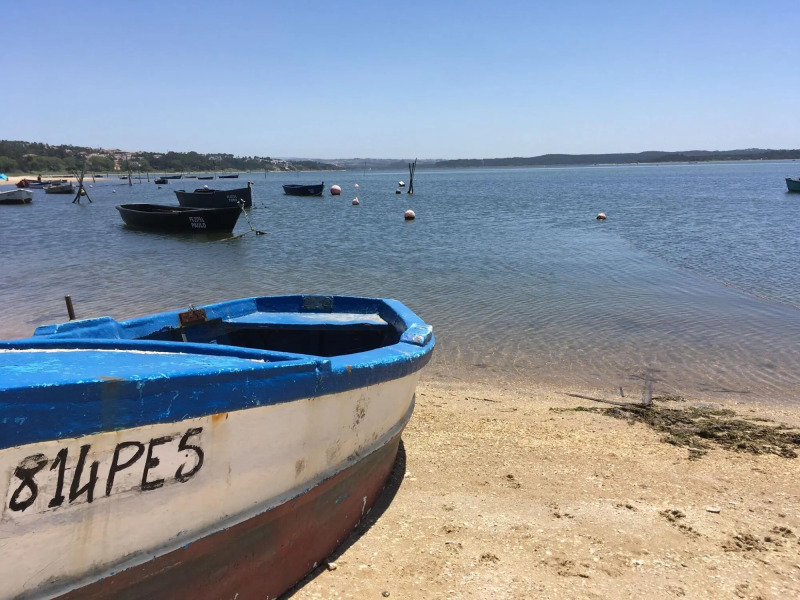 Luxury Villa With Private Pool