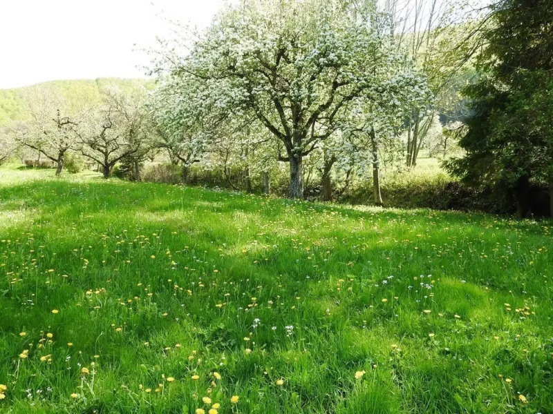 CHRISTEL-S-Ferienwohnung
