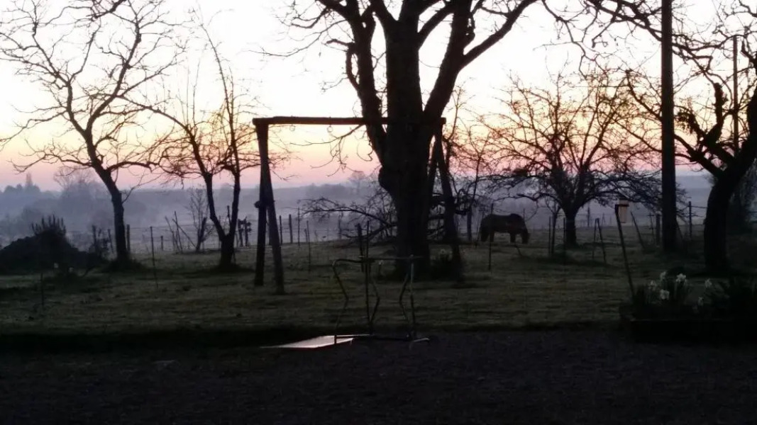 487 Rue des Grappins