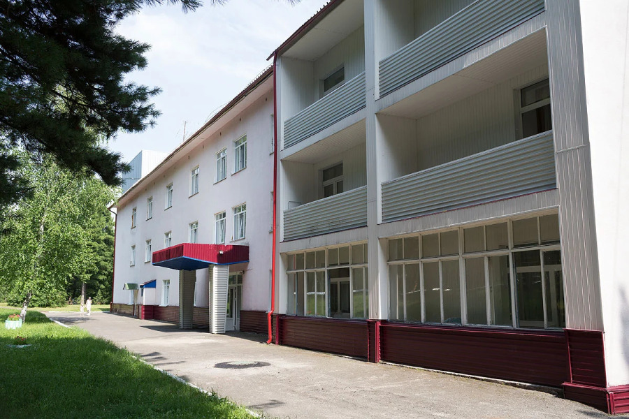 Кедровый бор