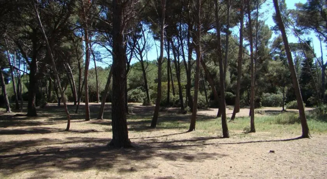 Location Villa les Maisons du soleil 10