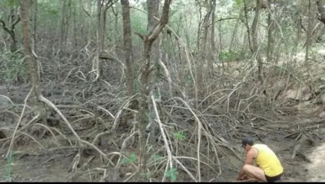 Condado Aldeia dos Reis SAHY