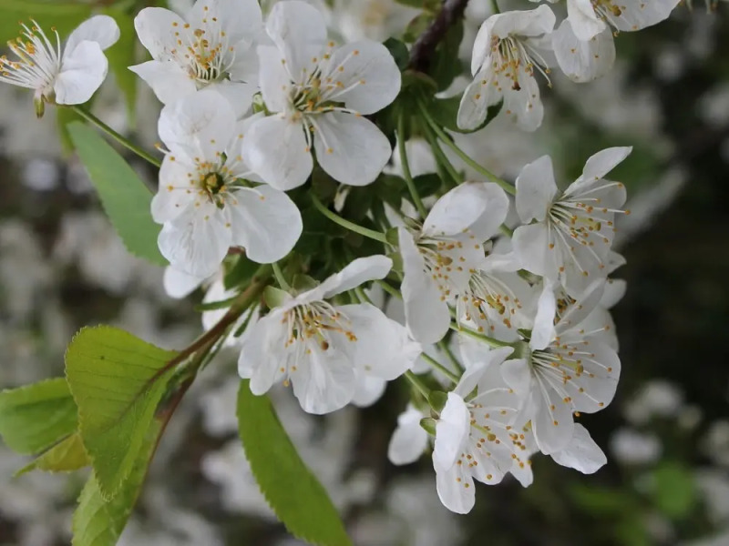 Peaceful Apartment in Steffenshagen Near Sea