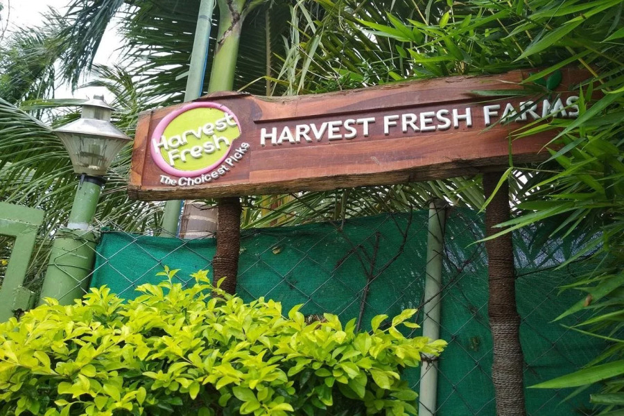 Harvest Fresh Farms