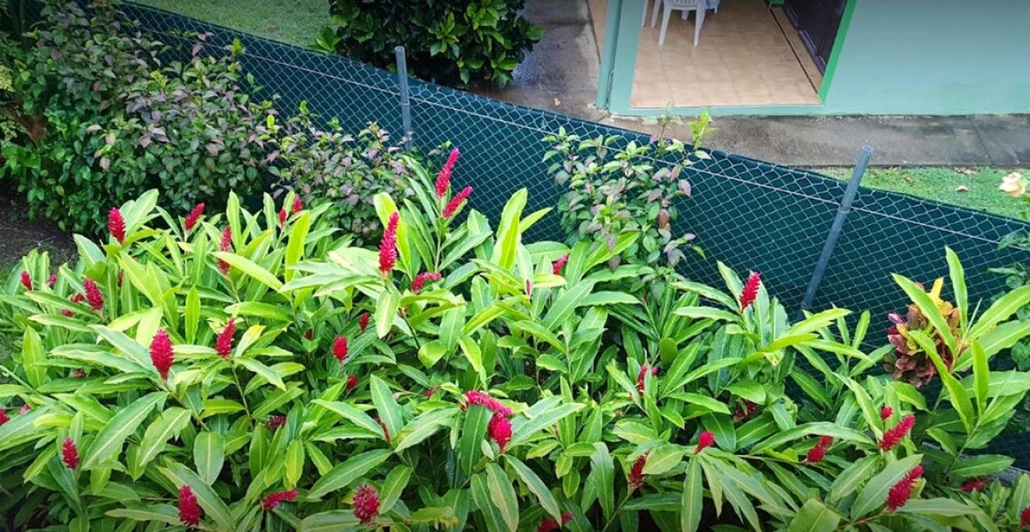 Studio in Les Anses-d'arlet, With Wonderful Mountain View, Enclosed Garden and Wifi