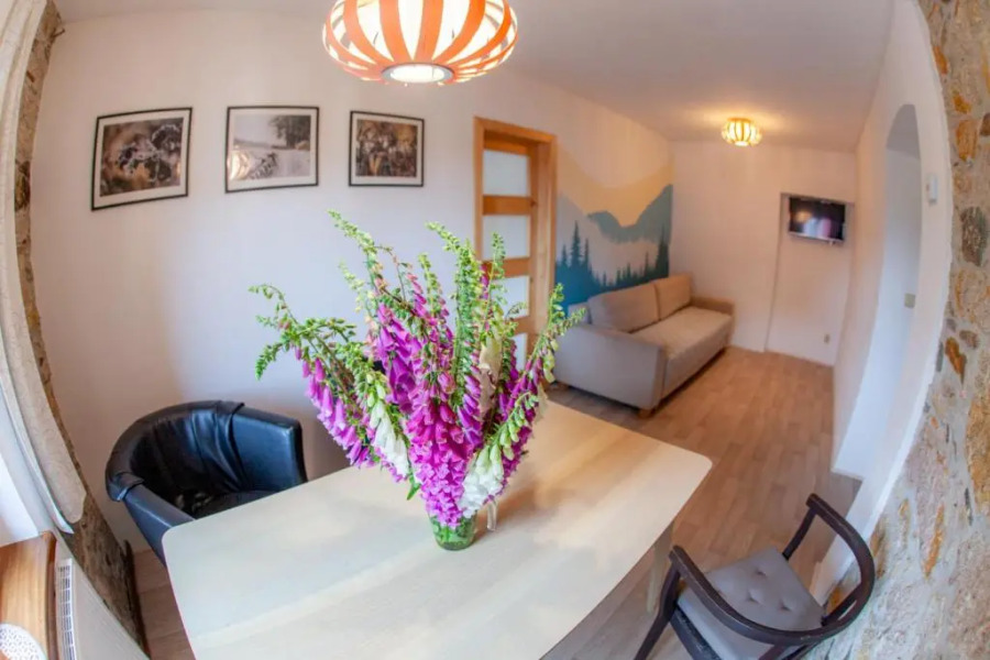 Apartman Vejminek
