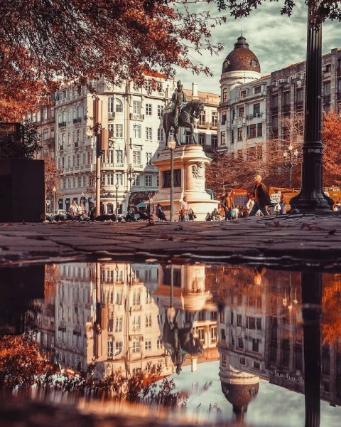 Welcome to Porto Maia