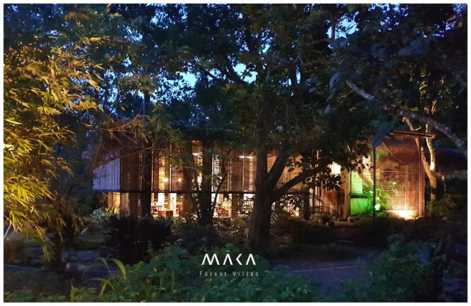 Maka-Kalinaw 5 Wabi sabi Room, Forest Deck View