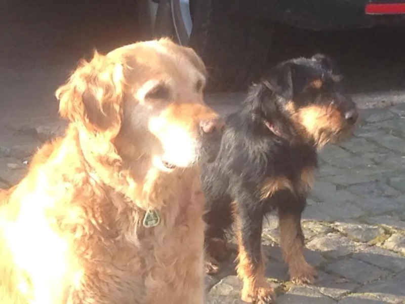 Ferienwohnung Jäger