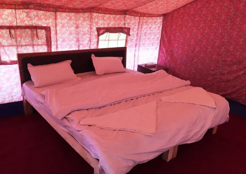 TIH Buckwheat Root Camp - Turtuk