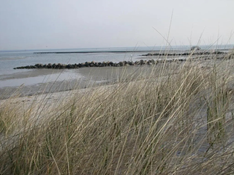 Steiner Strandappartements Appartement 302 Seeseite