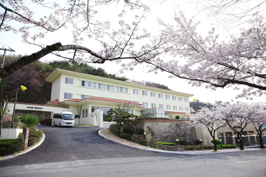 Palgong Emillia Hotel