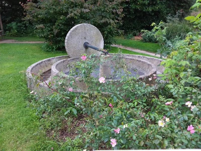 L'Orchidée
