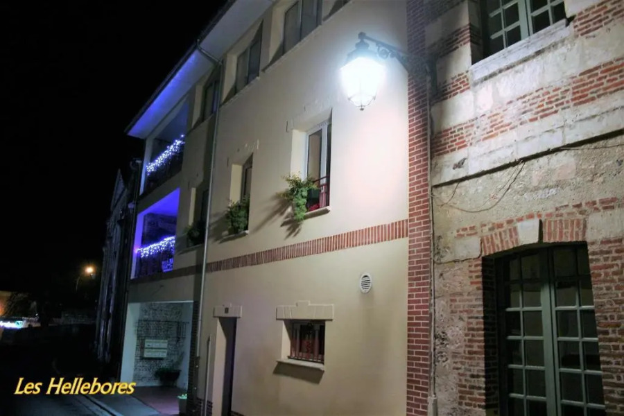 Les Hellebores