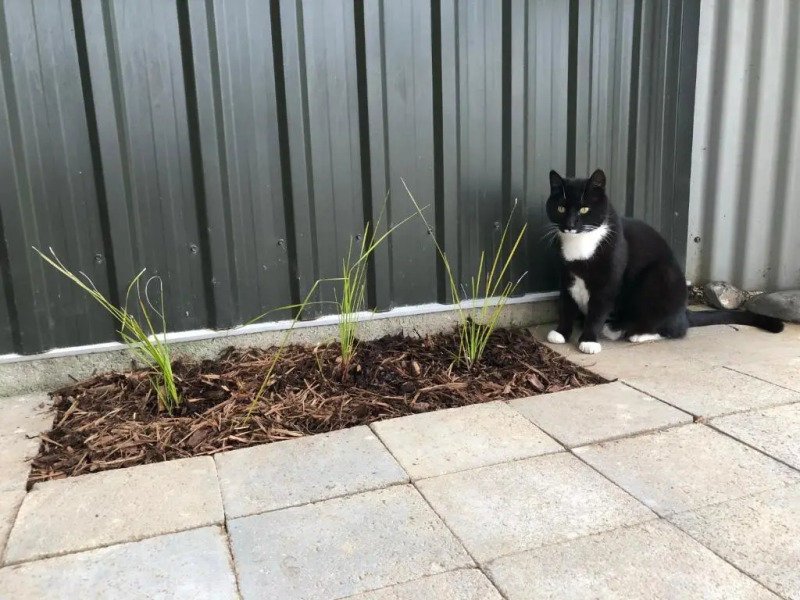 Cosy Country Stay B&B (Adults Only)