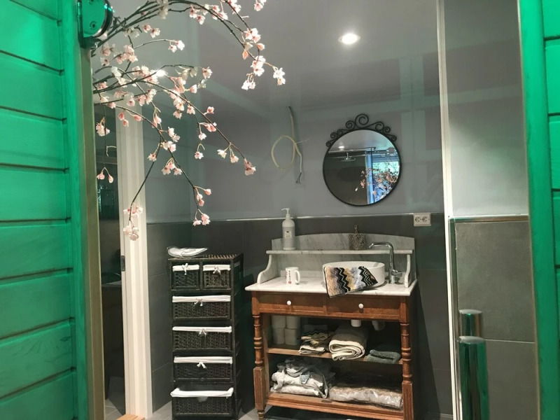 Historic Apartment with sauna