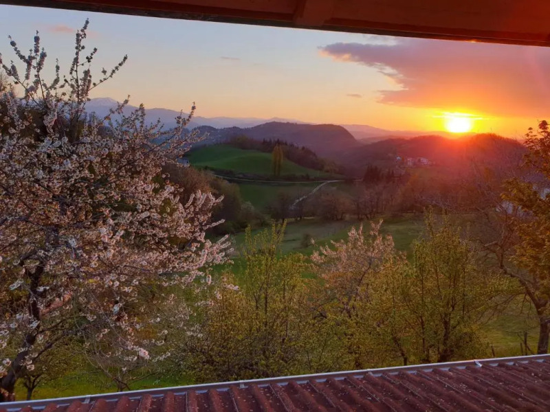 I Bocci (Adults Only)