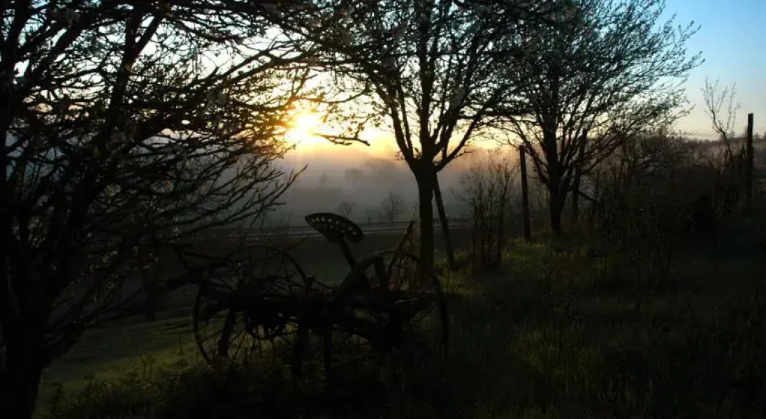 La Maison de Papillon