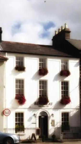 Blackcat (Adults only)