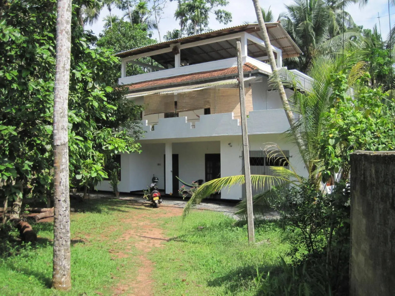 Jungleside House