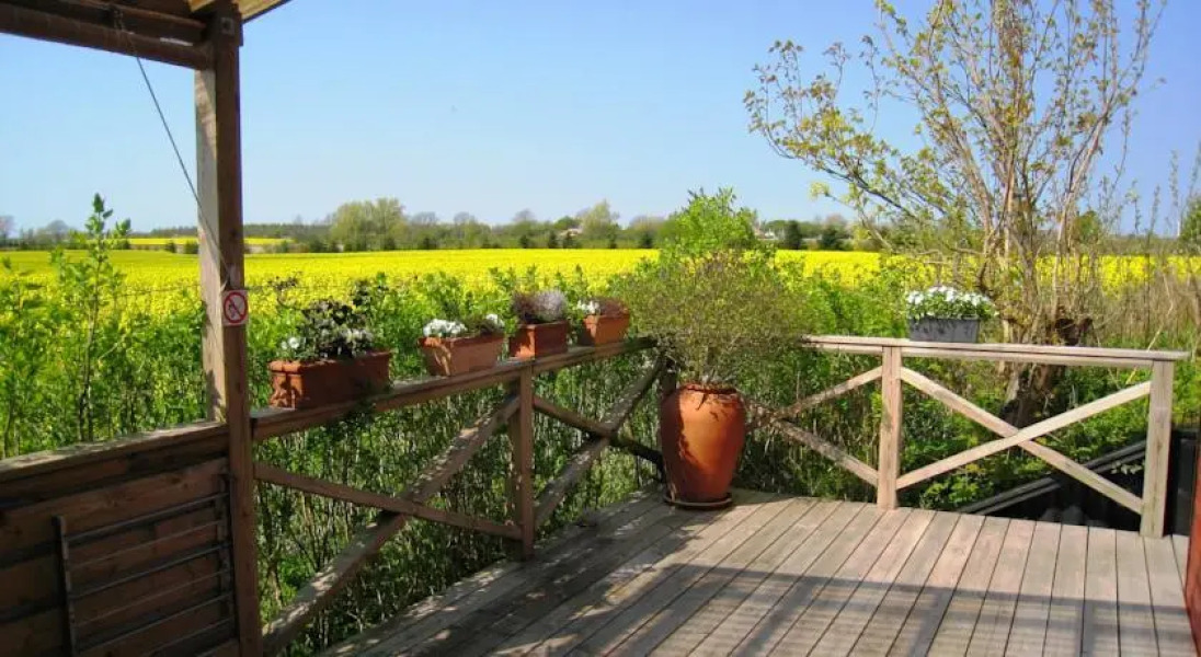 Ølholm Cottage Bed & Breakfast